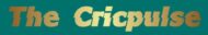 The Cricpulse